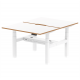Rayleigh Air 2 Person Back-to-Back Height Adjustable Bench Desk